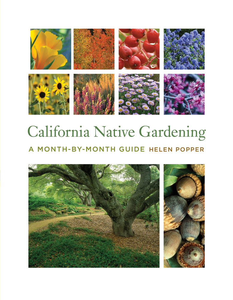 Book cover for California Native Gardening: A Month-By-Month Guide