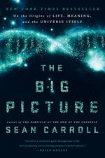 Book cover for The Big Picture: On the Origins of Life, Meaning, and the Universe Itself