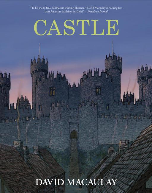 Book cover for Castle: A Caldecott Honor Award Winner