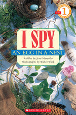 Book cover for I Spy an Egg in a Nest (Scholastic Reader, Level 1)