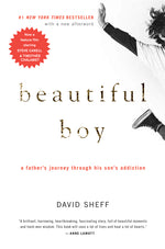 Book cover for Beautiful Boy: A Father's Journey Through His Son's Addiction