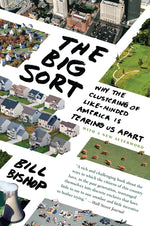 Book cover for Big Sort