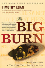 Book cover for The Big Burn: Teddy Roosevelt and the Fire That Saved America