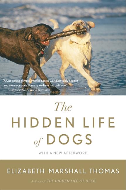 Book cover for Hidden Life of Dogs