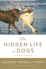 Book cover for Hidden Life of Dogs