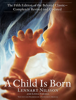 Book cover for A Child Is Born: The Fifth Edition of the Beloved Classic--Completely Revised and Updated