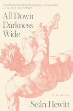 Book cover for All Down Darkness Wide: A Memoir