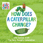 Book cover for How Does a Caterpillar Change?: Life Cycles with the Very Hungry Caterpillar