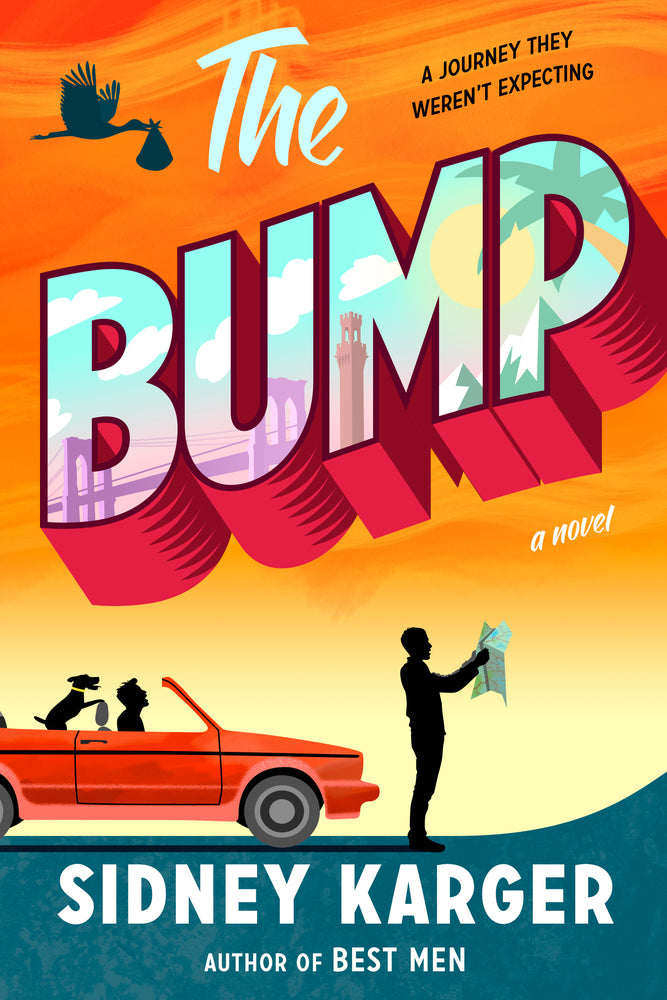 Book cover for The Bump