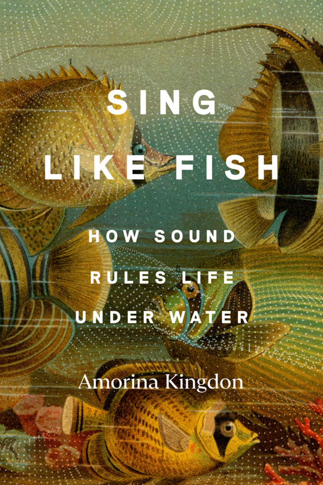 Book cover for Sing Like Fish: How Sound Rules Life Under Water