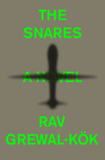 Book cover for Snares