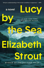 Book cover for Lucy by the Sea
