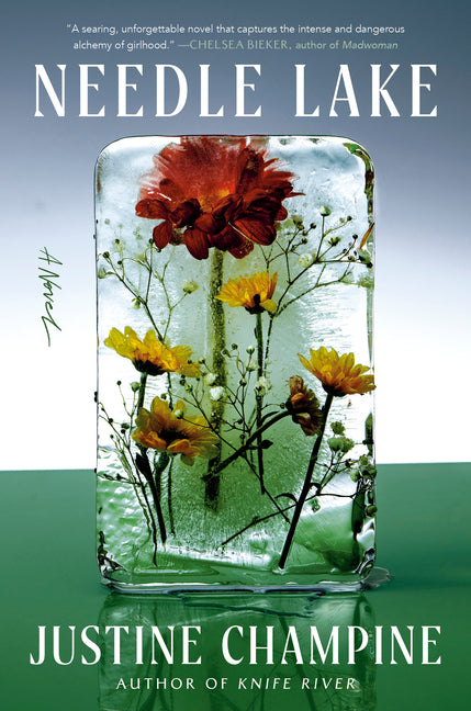 Book cover for Needle Lake