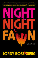 Book cover for Night Night Fawn