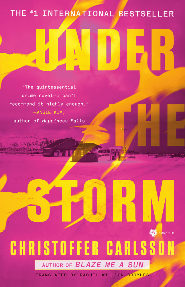 Book cover for Under the Storm