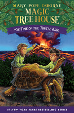 Book cover for Time of the Turtle King