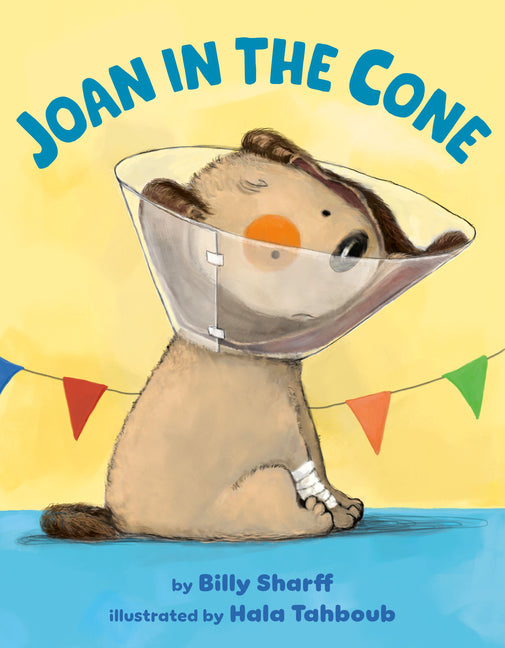Book cover for Joan in the Cone