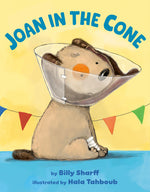 Book cover for Joan in the Cone
