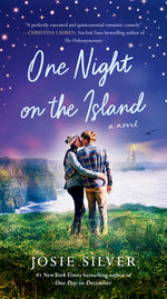 Book cover for One Night on the Island