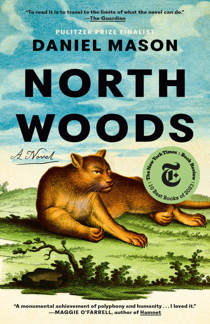 Book cover for North Woods