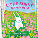 Book cover for Little Bunny, Spring Is Here!
