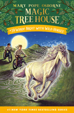 Book cover for Windy Night with Wild Horses