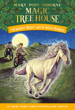 Book cover for Windy Night with Wild Horses