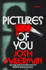 Book cover for Pictures of You