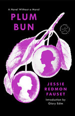 Book cover for Plum Bun: A Novel Without a Moral