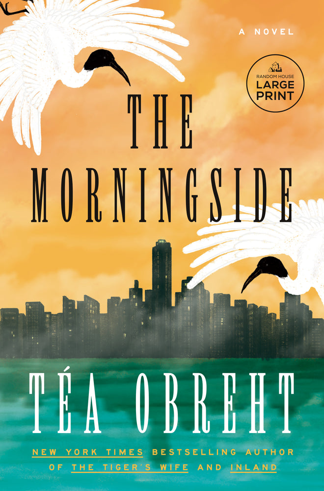 Book cover for The Morningside
