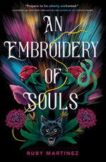 Book cover for Embroidery of Souls