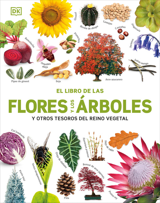 Book cover for Libro de Las Flores Y Los Árboles (Our World in Pictures: Trees, Leaves, Flowers & Seeds)