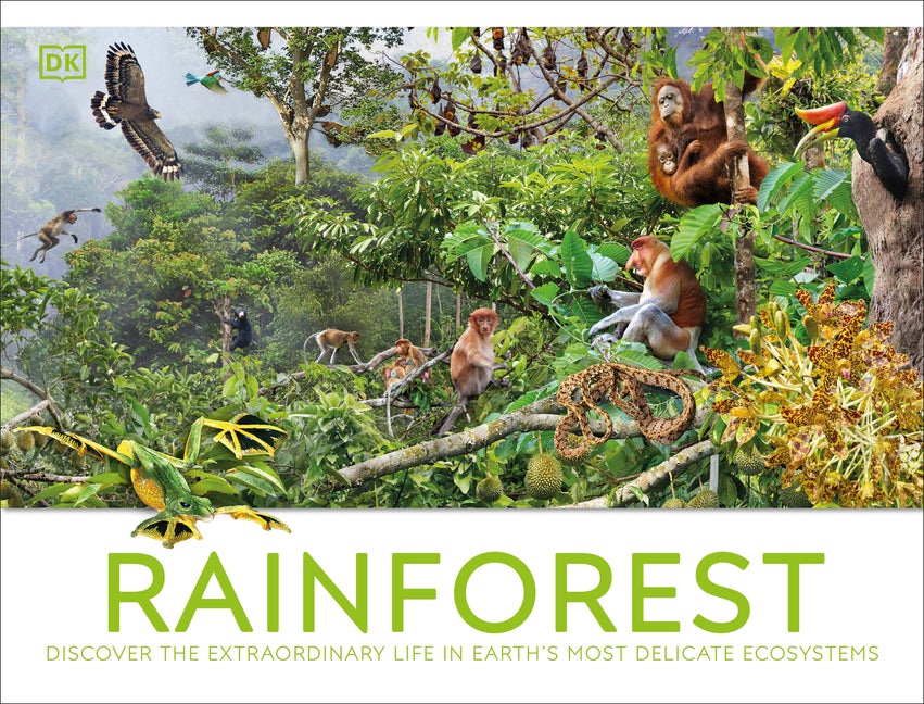 Book cover for Rainforest