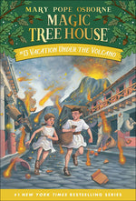 Book cover for Vacation Under the Volcano