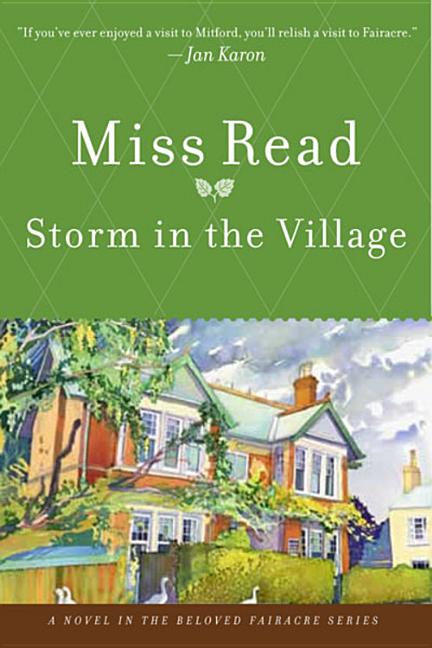 Book cover for Storm in the Village