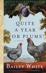 Book cover for Quite a Year for Plums