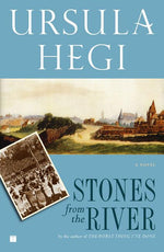 Book cover for Stones from the River