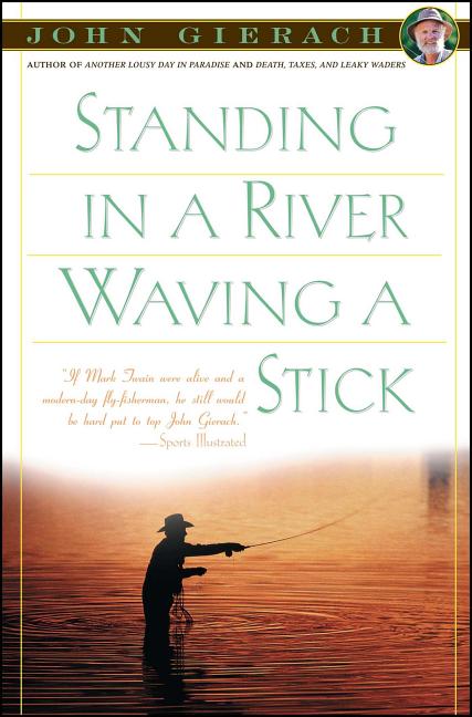 Book cover for Standing in a River Waving a Stick