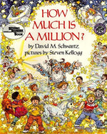 Book cover for How Much Is a Million?