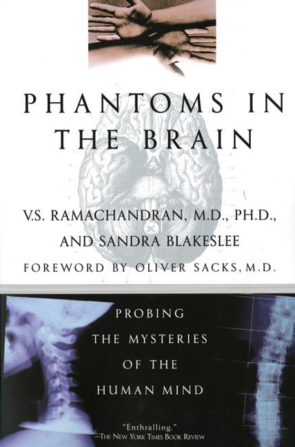 Book cover for Phantoms in the Brain