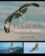 Book cover for Hawks from Every Angle: How to Identify Raptors in Flight