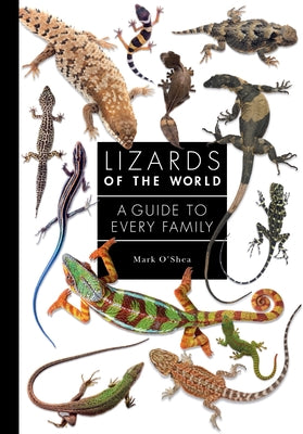 Book cover for Lizards of the World: A Guide to Every Family
