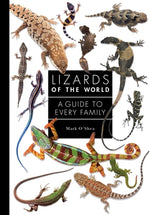 Book cover for Lizards of the World: A Guide to Every Family