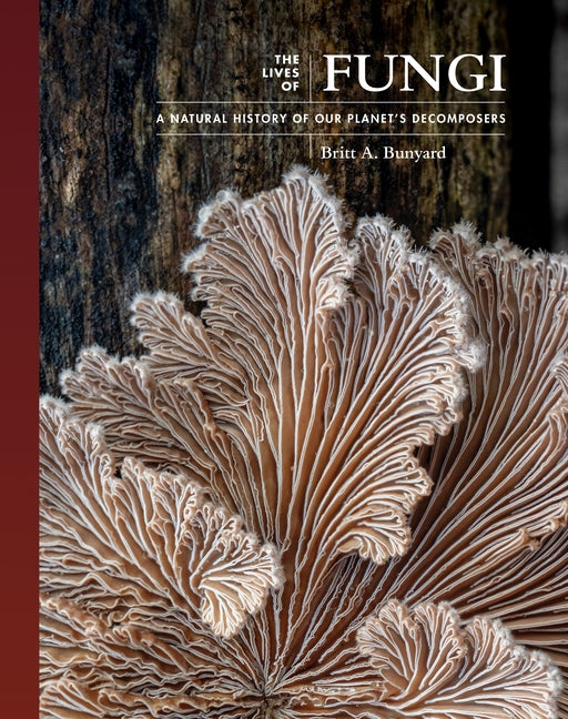 Book cover for Lives of Fungi: A Natural History of Our Planet's Decomposers