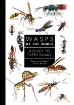 Book cover for Wasps of the World: A Guide to Every Family