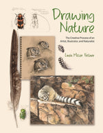 Book cover for Drawing Nature: The Creative Process of an Artist, Illustrator, and Naturalist