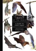 Book cover for Bats of the World: A Guide to Every Family