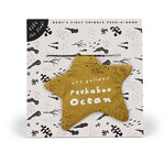 Book cover for Peekaboo Ocean: Baby's First Crinkle Peek-A-Book - Lift the Flap!
