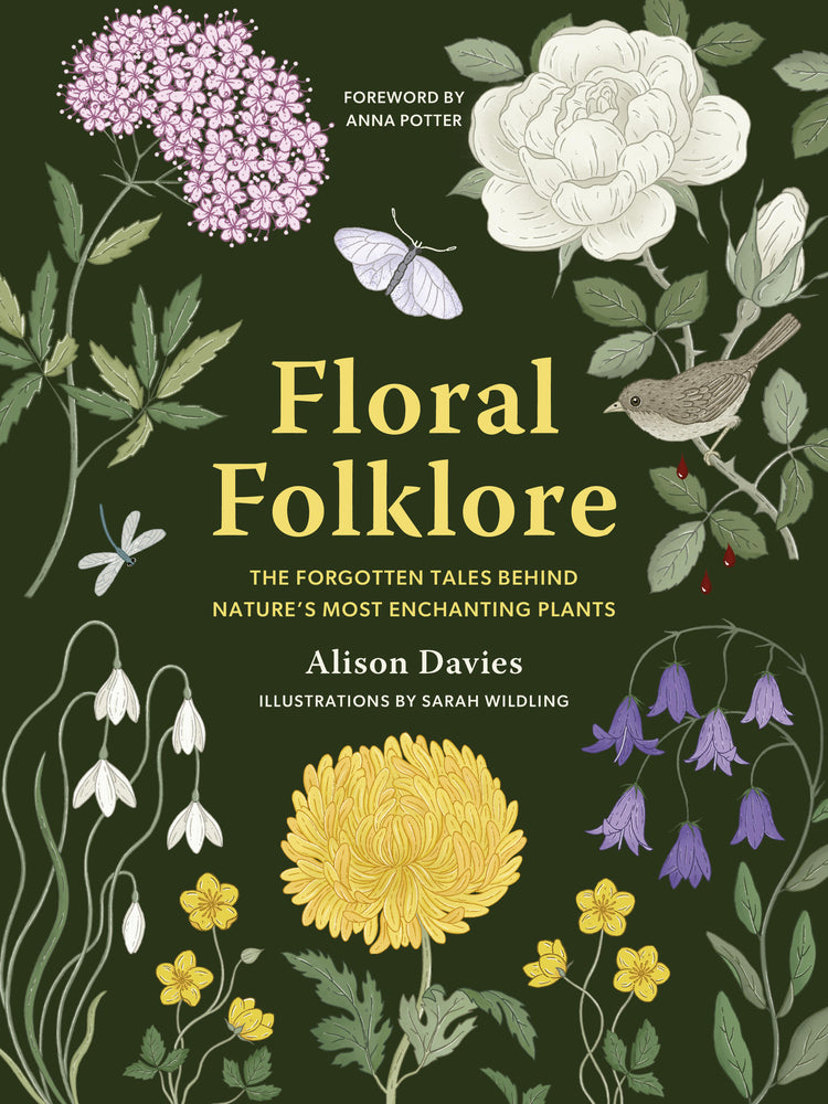 Book cover for Floral Folklore: The Forgotten Tales Behind Nature's Most Enchanting Plants
