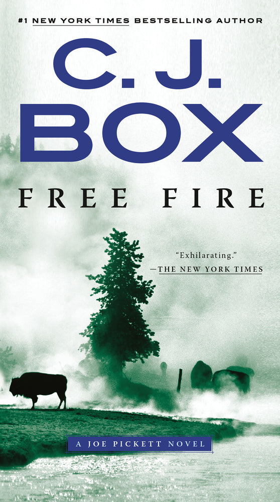 Book cover for Free Fire